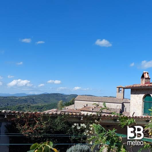 Montone