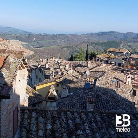 Montone