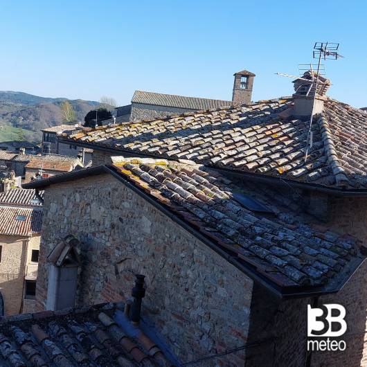 Montone