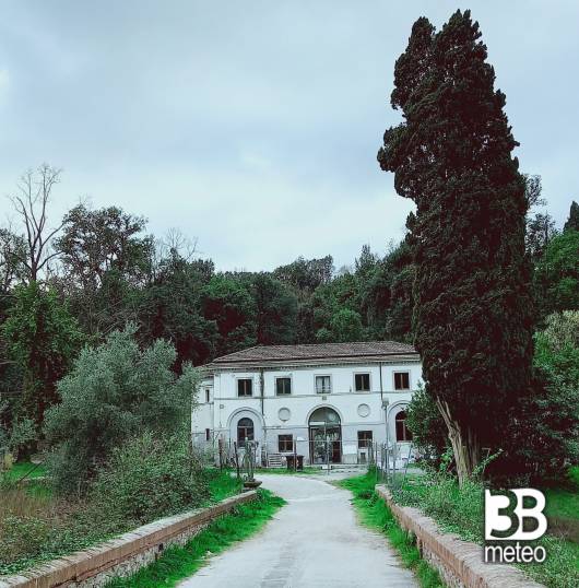 carrara artestudios