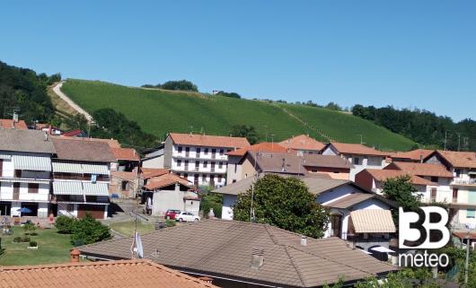 la vigna
