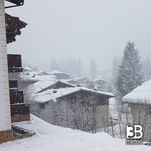Fotosegnalazione di Palu' di madonna di campiglio