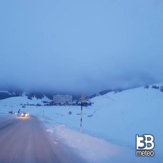 Neve