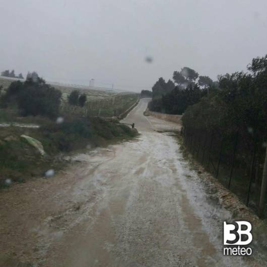 Neve a scorcola