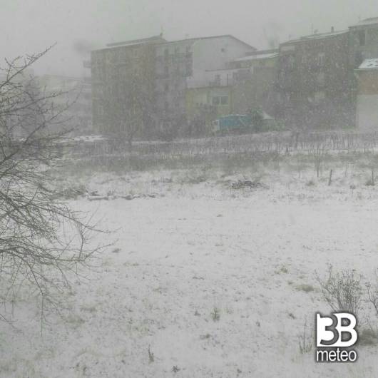 Neve