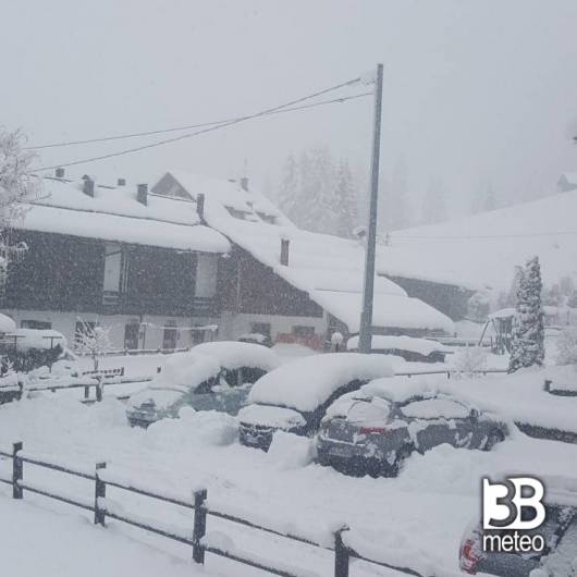 Sappada plodn