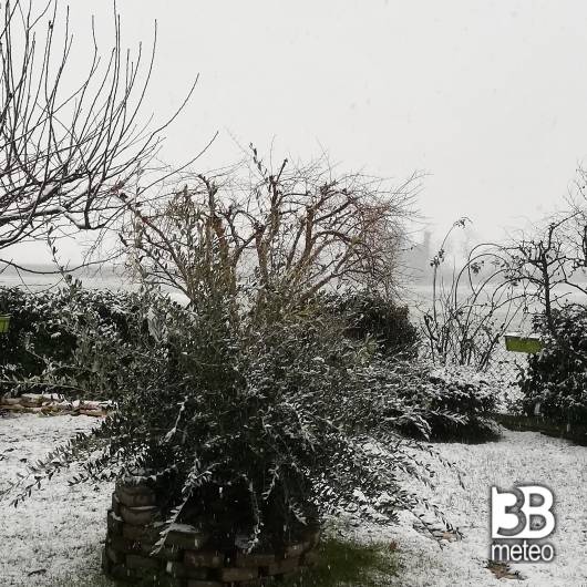 Prima neve a forli'
