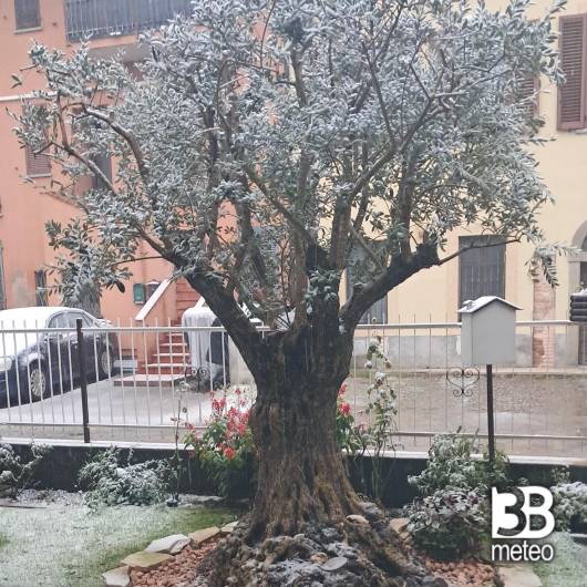 la prima neve a Boltiere