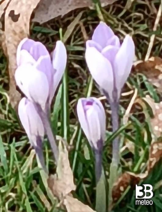 colori primaverili