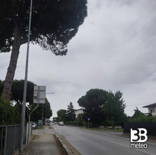 Bagnarola