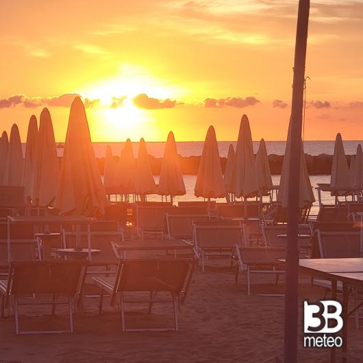 Bellaria igea marina
