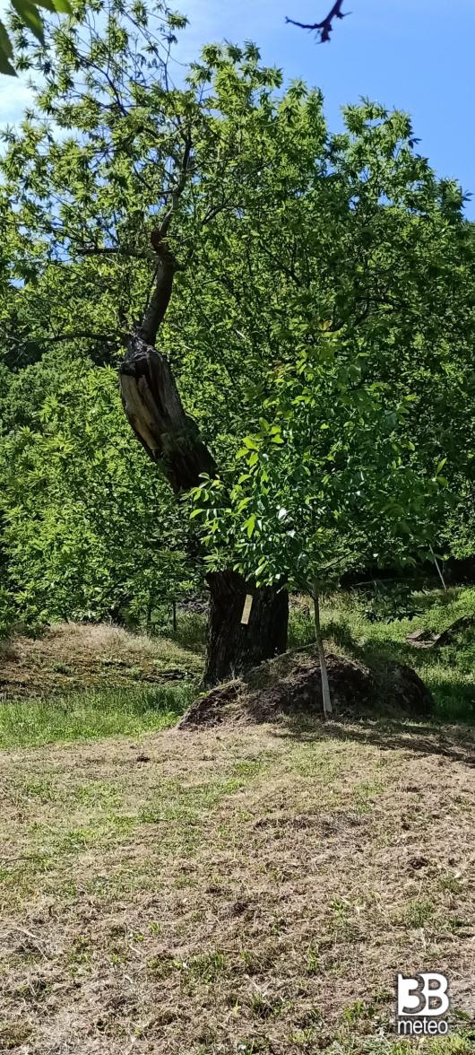 giornata in marroneta a solsttetto