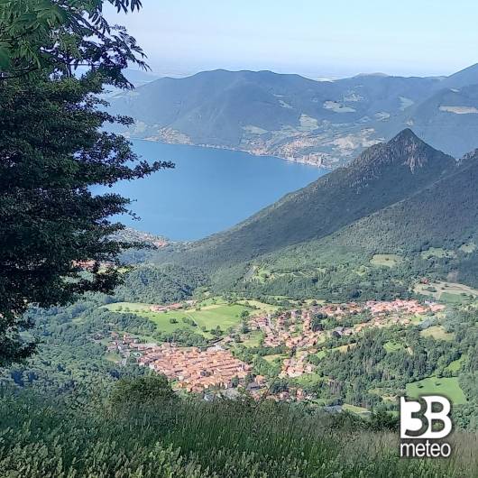 Dall'alto