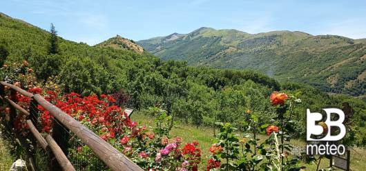 la verde vallata