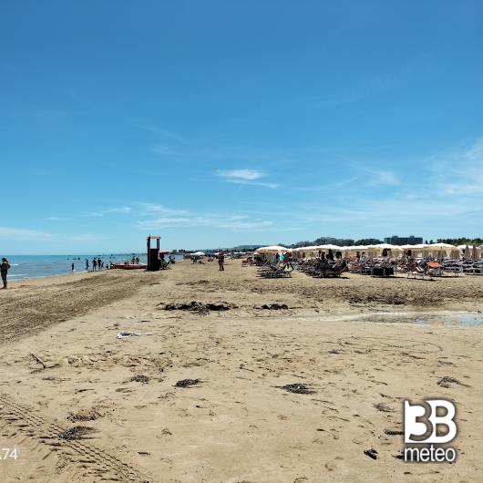 Vasto