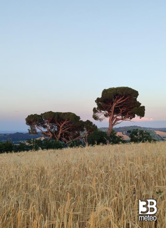 pomeriggio molto caldo