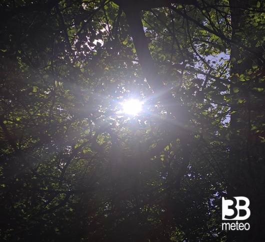Il Sole che si nasconde dietro le chiome degli alberi a Tavagnacco. i miei attimi speciali Adry