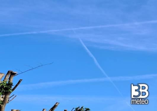 scie
