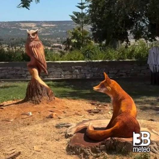 sculture in legno
