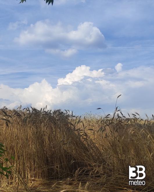 Oggi Tavagnacco caldissima in questo momento 33 gradi. i miei attimi speciali Adry