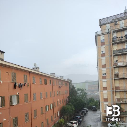 Terni