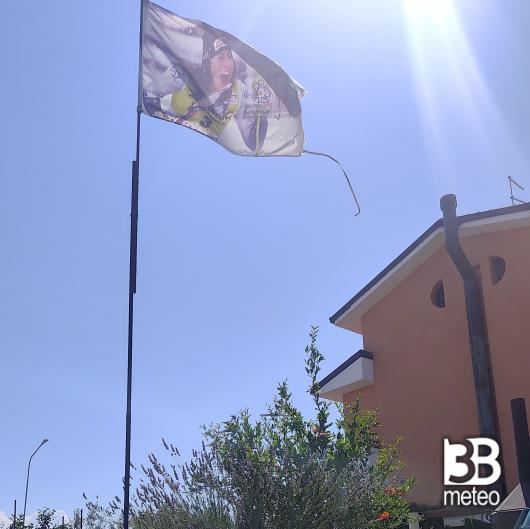 Bagnarola