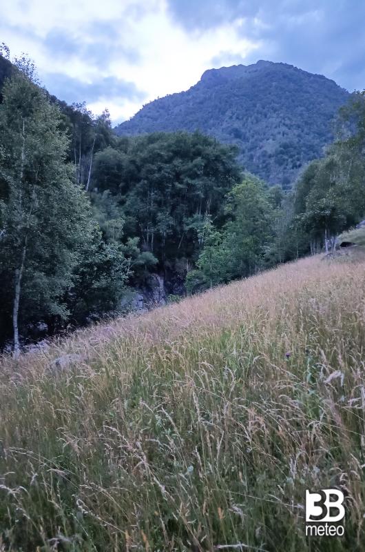 Fotosegnalazione utente