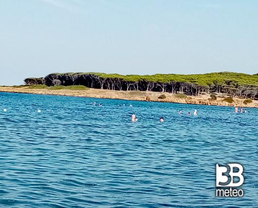 baia dei pini