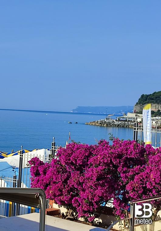 mare piatto
