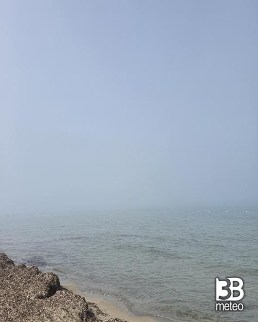 il fenomeno 'lupa di mare'