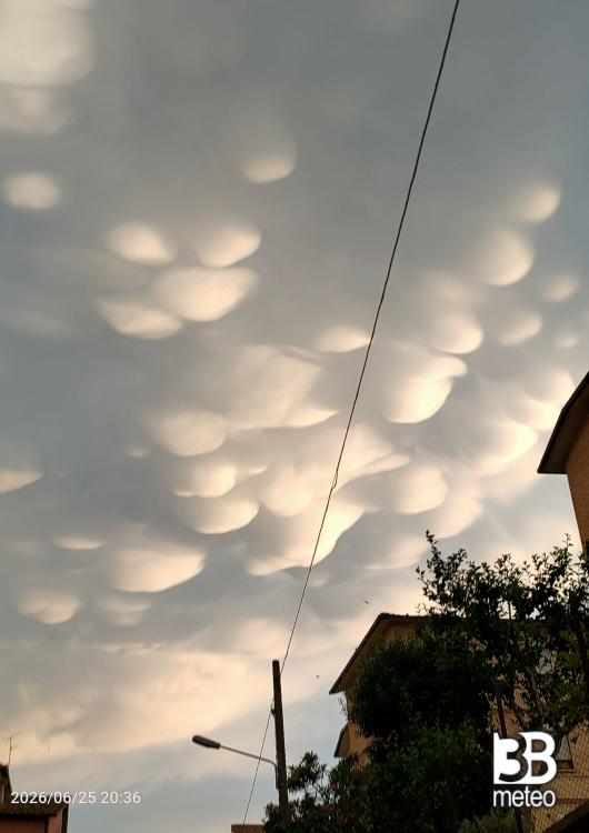 nuvole mammatus