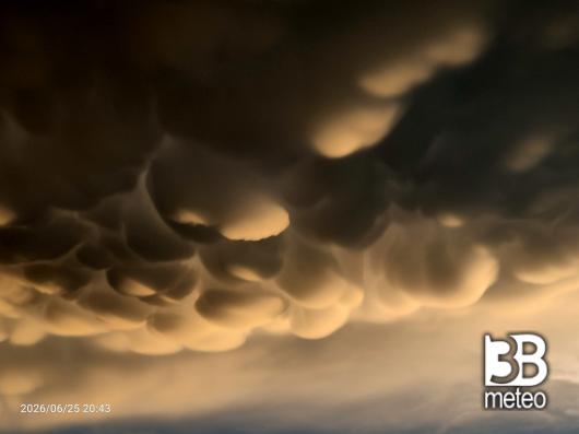 mammatus