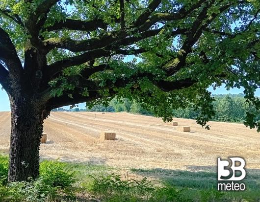 estate a Maranello
