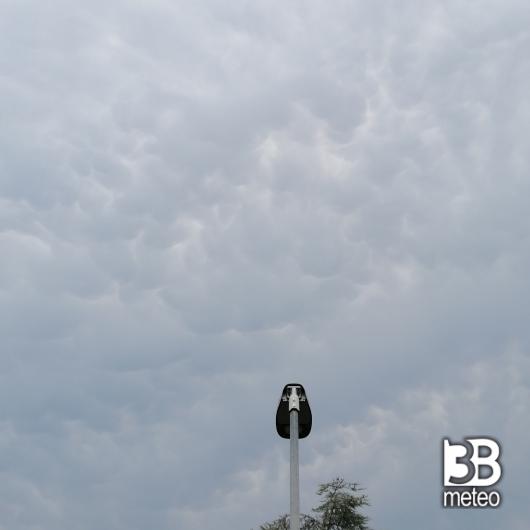 mammatus