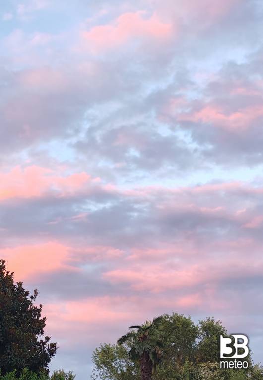 rosa nel cielo