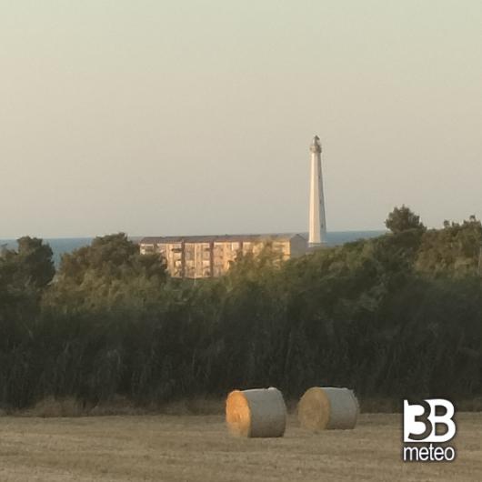 Vasto
