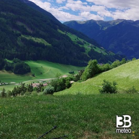 valle aurina