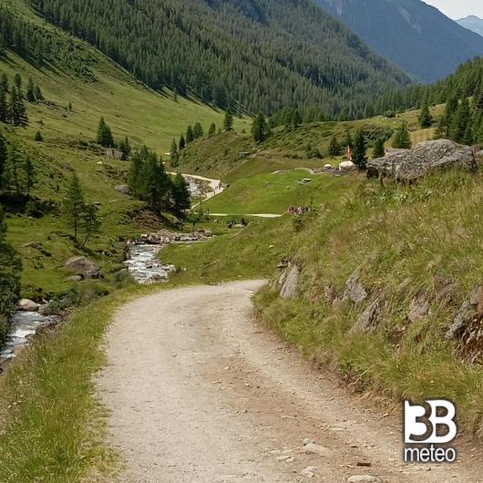 valle aurina