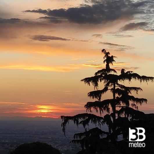 Frascati