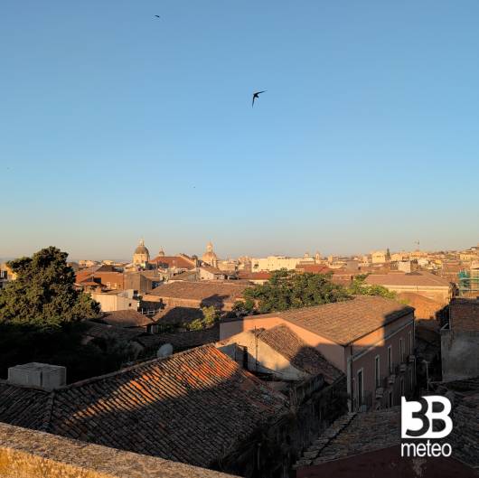 Catania