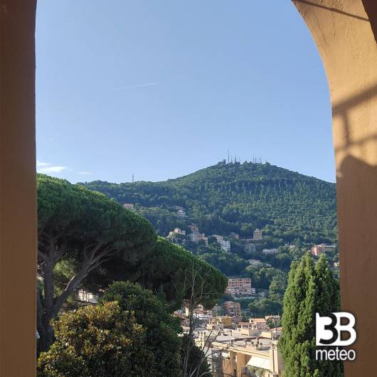 Mattina