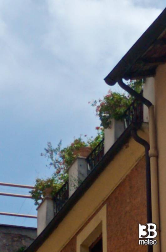 bel tempo sopra i gerani
