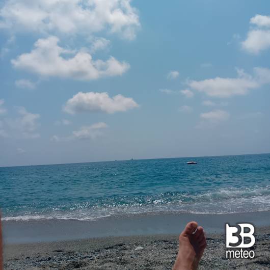 Albisola s.s