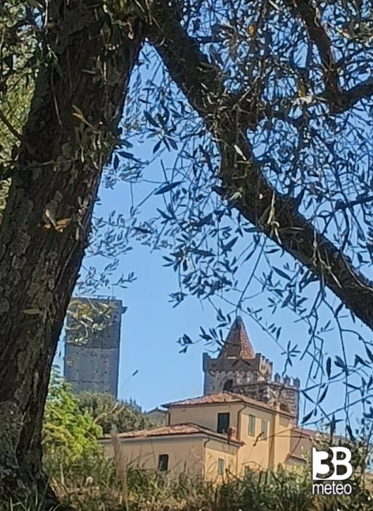 le torri fra gli ulivi