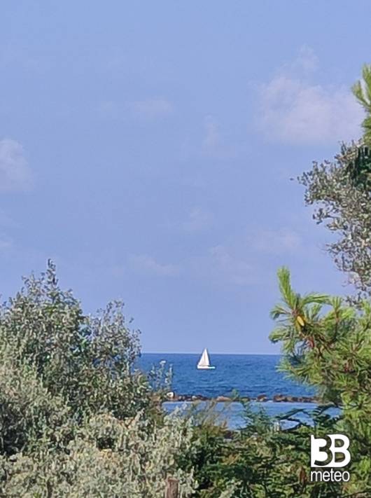 pomeriggio splendido