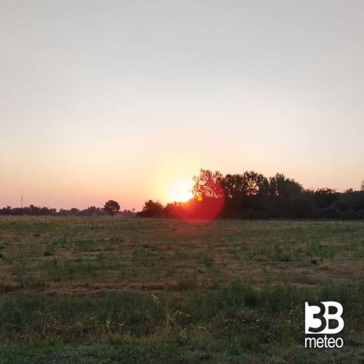 alba s bovo