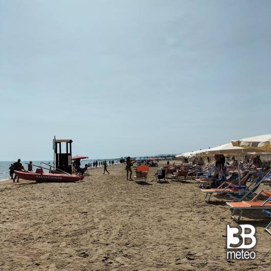 Vasto