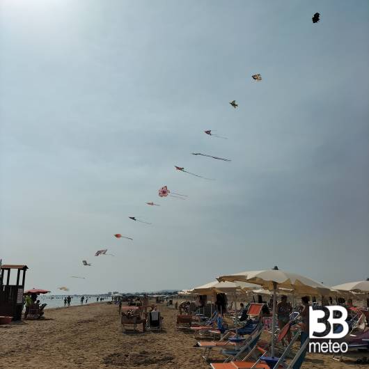 Vasto