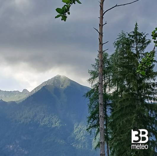 Pineta di Pinzolo