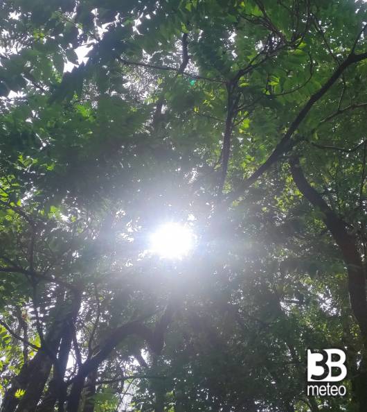 natura meravigliosa baciata dai raggi del sole. i miei attimi speciali adry